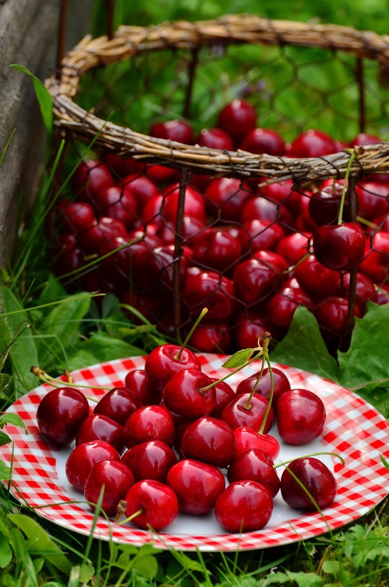 Cherries